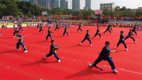 国产强操,引领科技潮流，铸就民族品牌辉煌